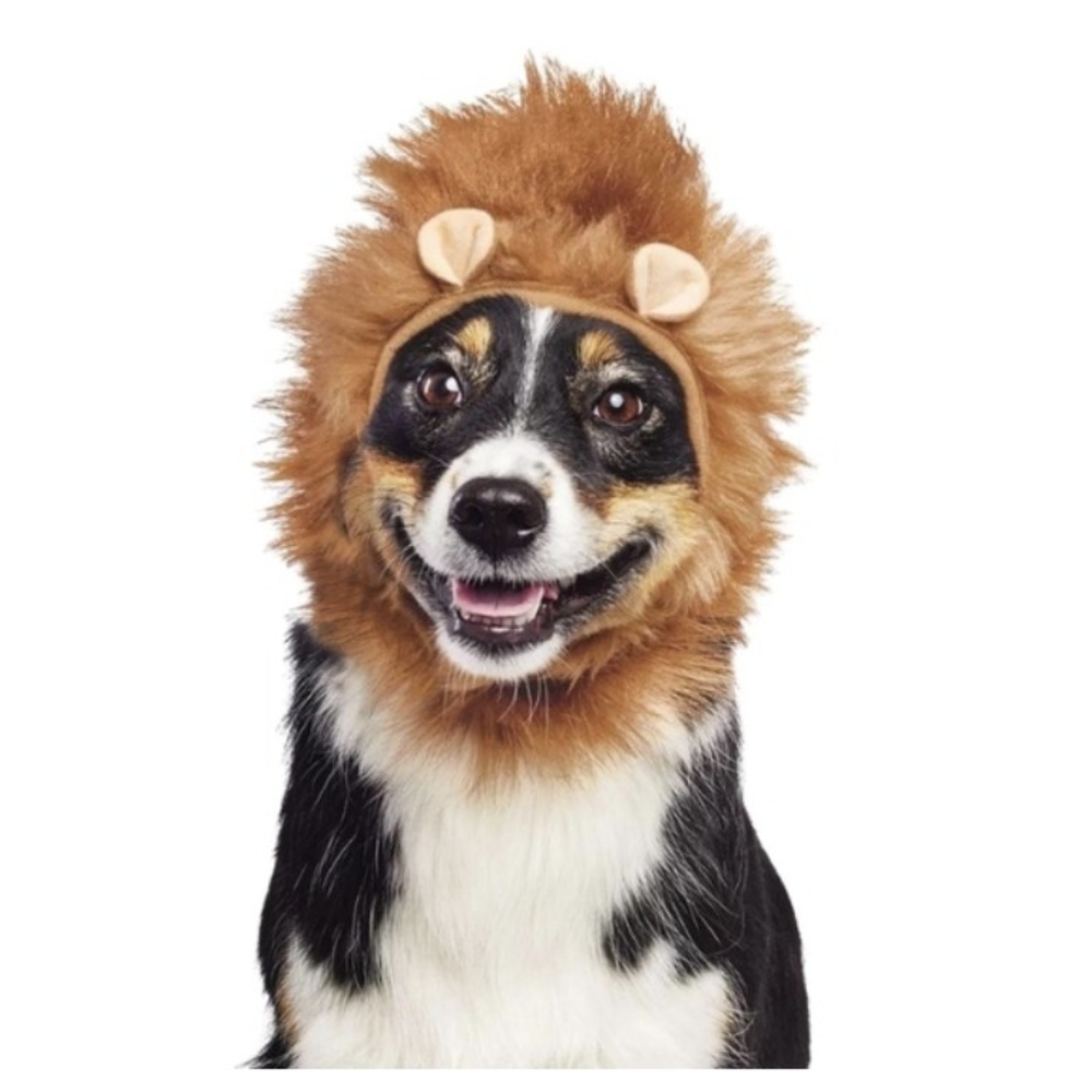 Hyde & Eek! Lion Mane Halloween Costume for Dogs XXS XS NWT